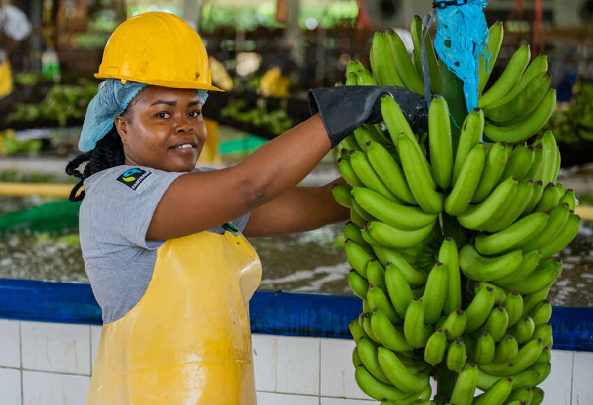 Fairtrade prezzi minimi banane