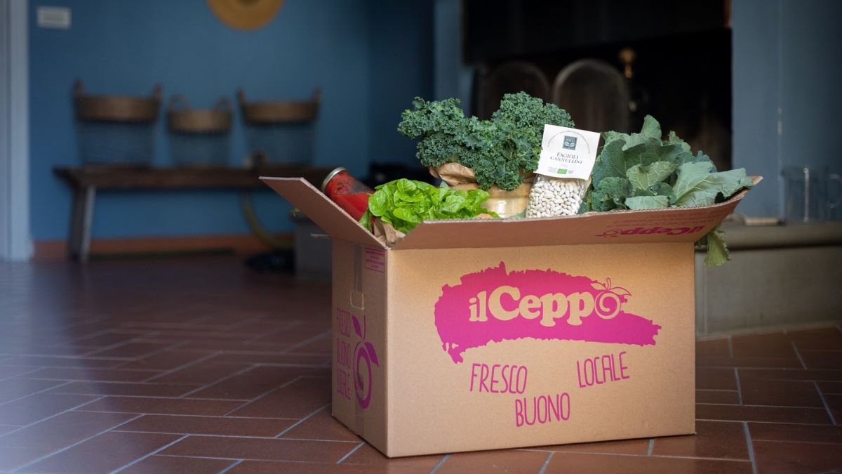 Il Ceppo frutta e verdura