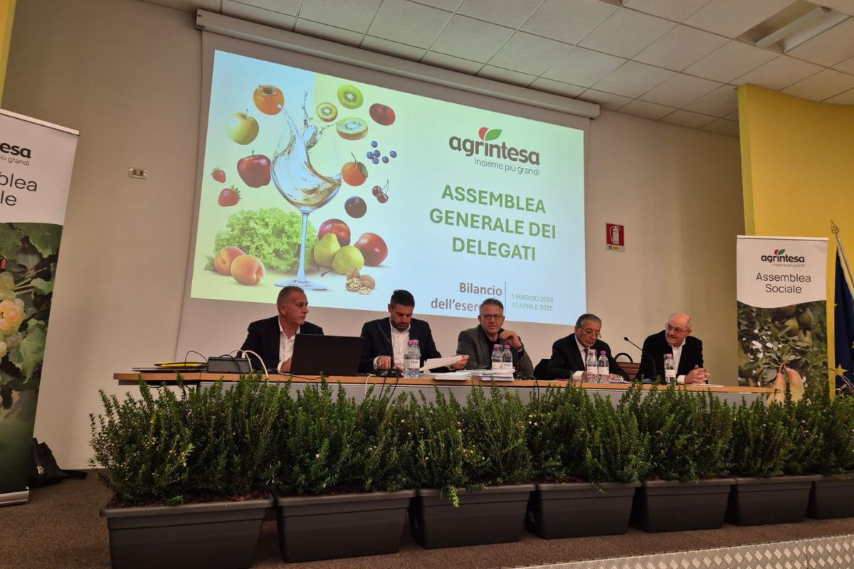 Agrintesa Fruit Modena Group