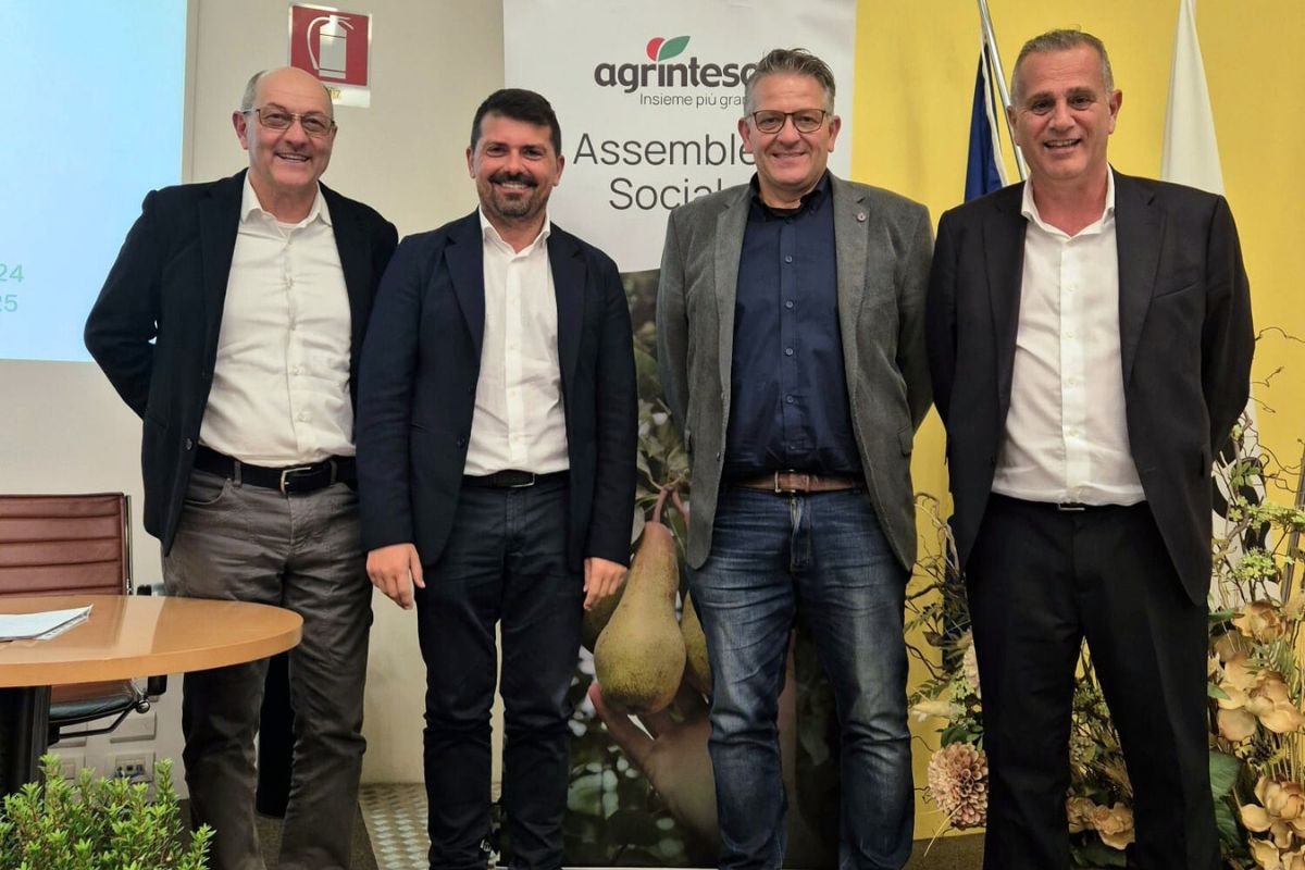 Agrintesa Fruit Modena Group