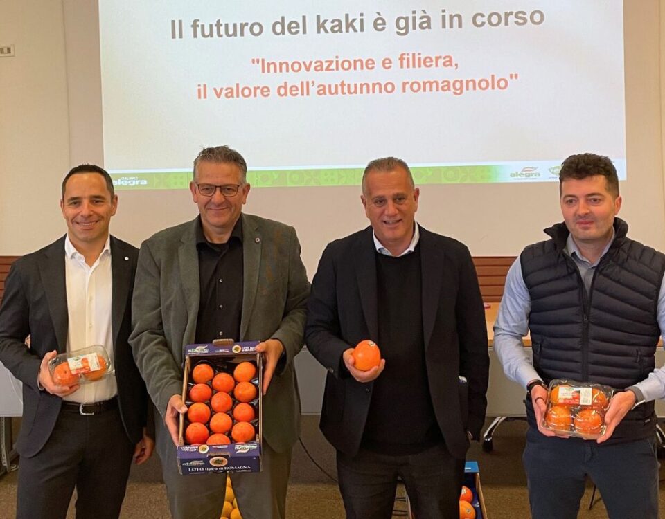 Agrintesa kaki