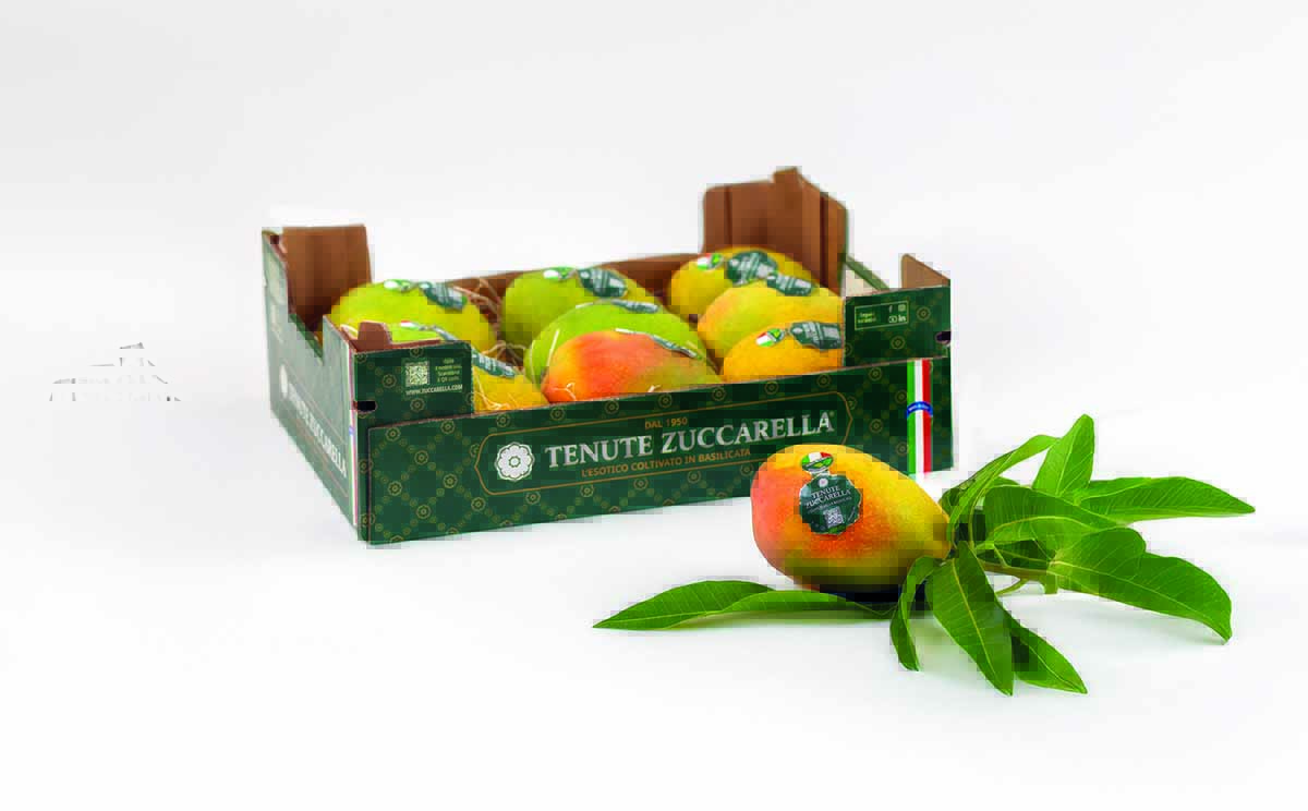 mango Zuccarella