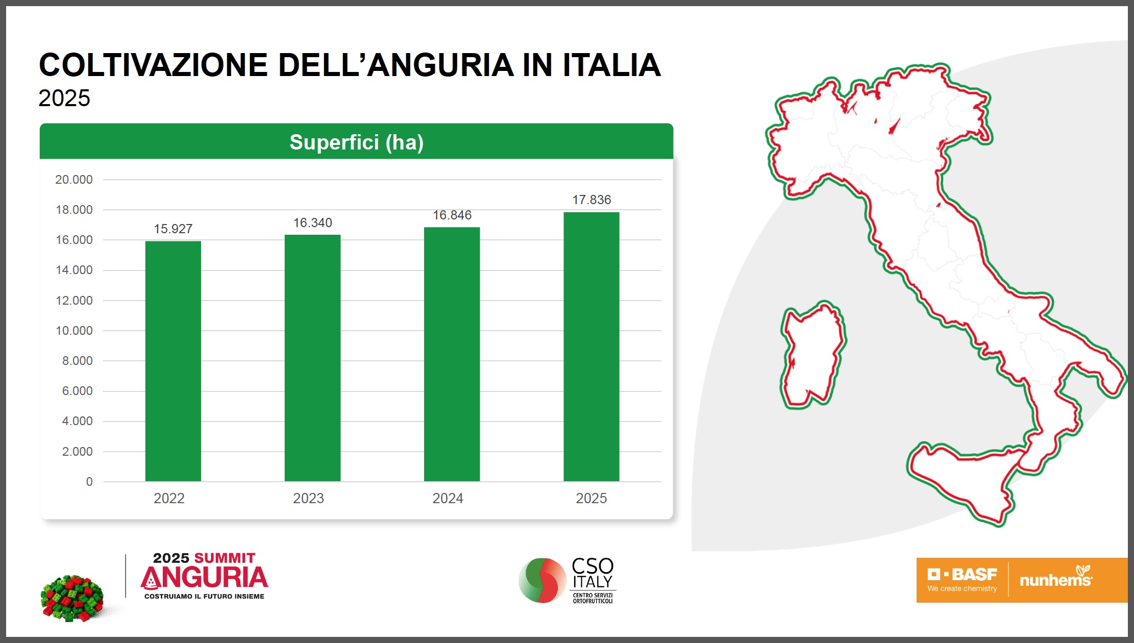 Anguria-superfici-Italia-CSO