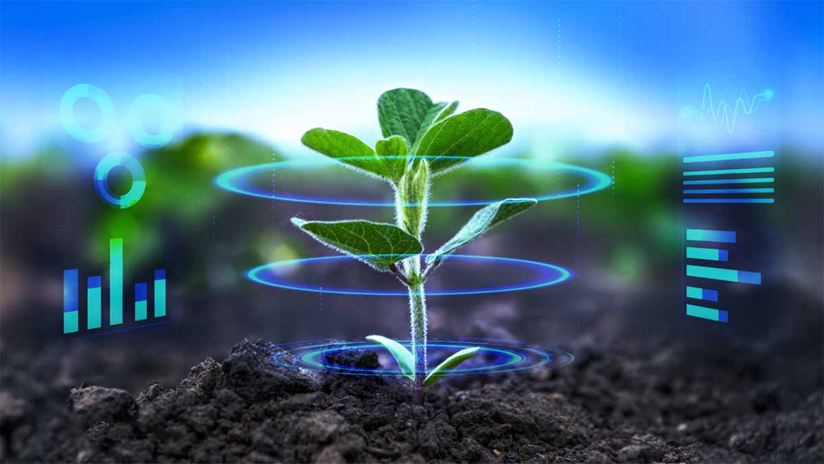 Syngenta Cropwise