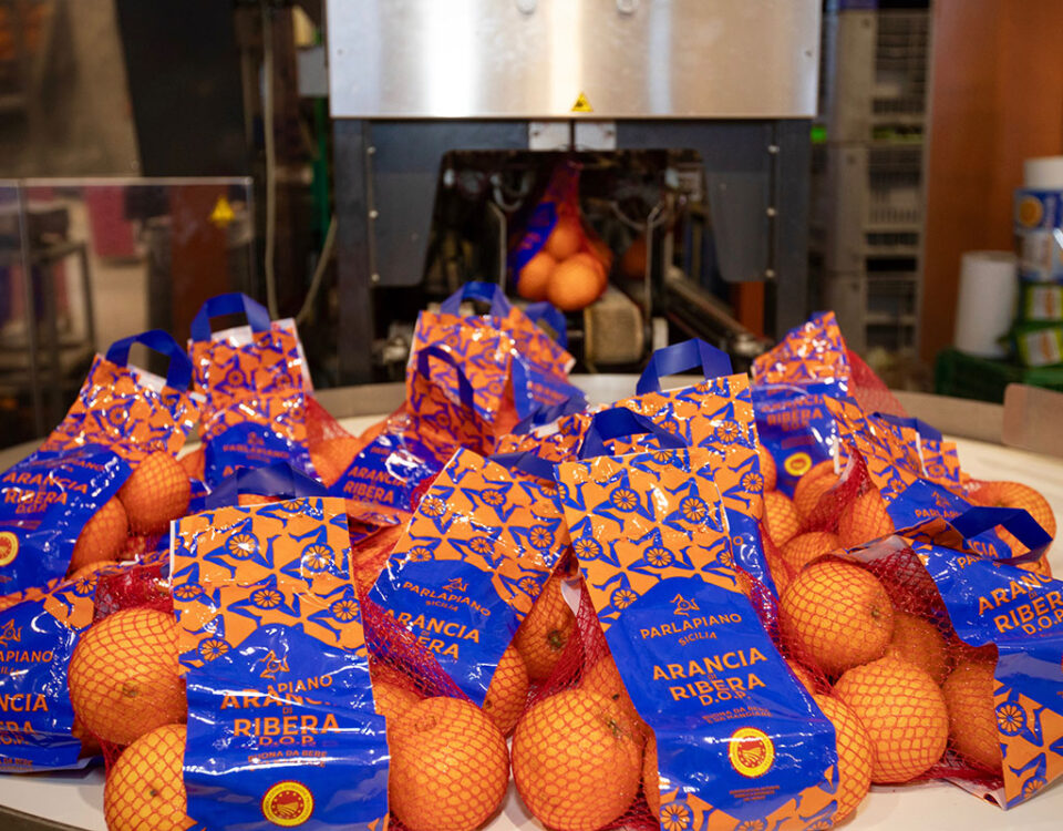 Parlapiano_Fruit_Arancia-Ribera_Dop