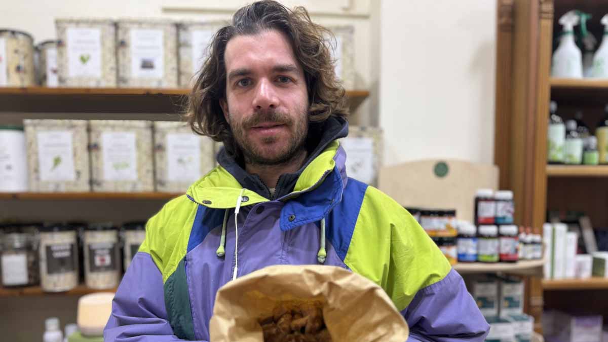 Pietro Trevisan funghi agricoltura urbana