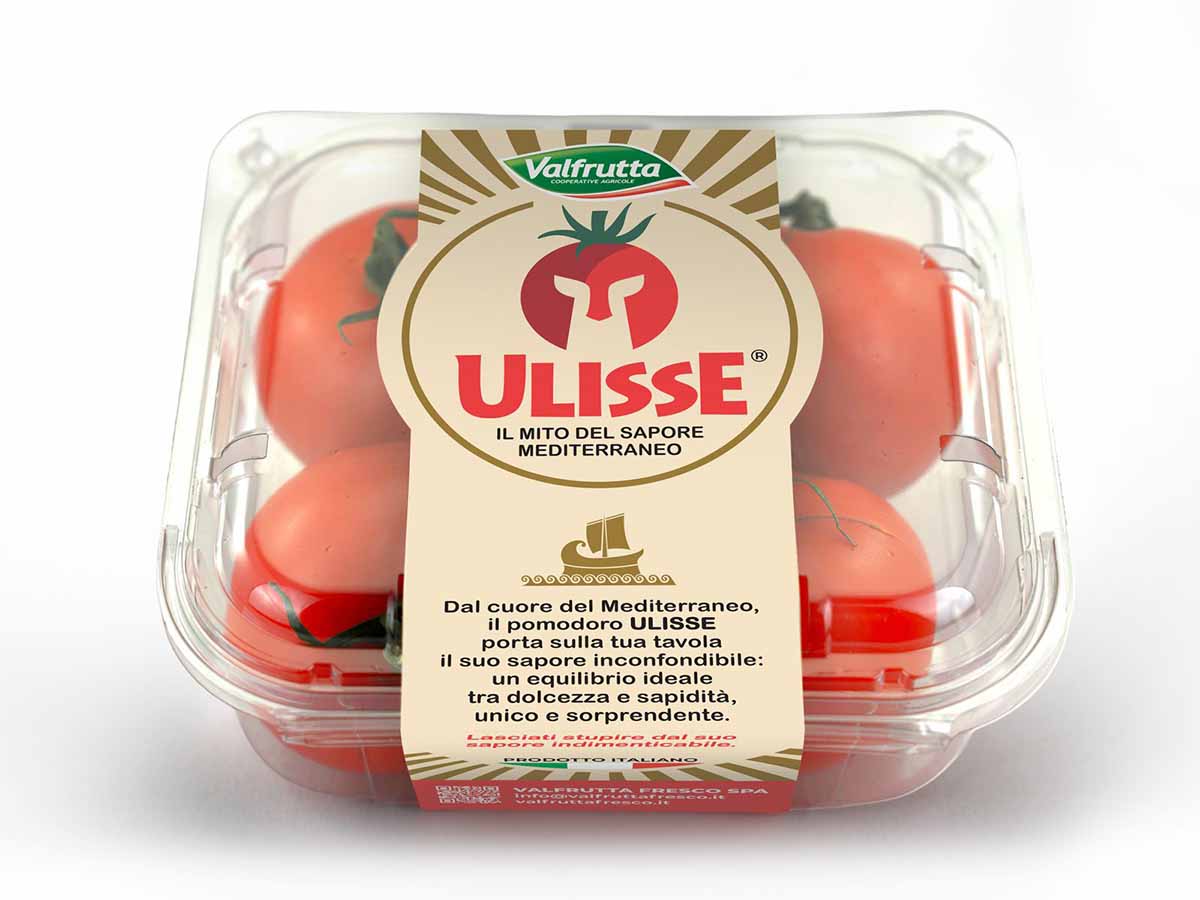 pomodoro Ulisse