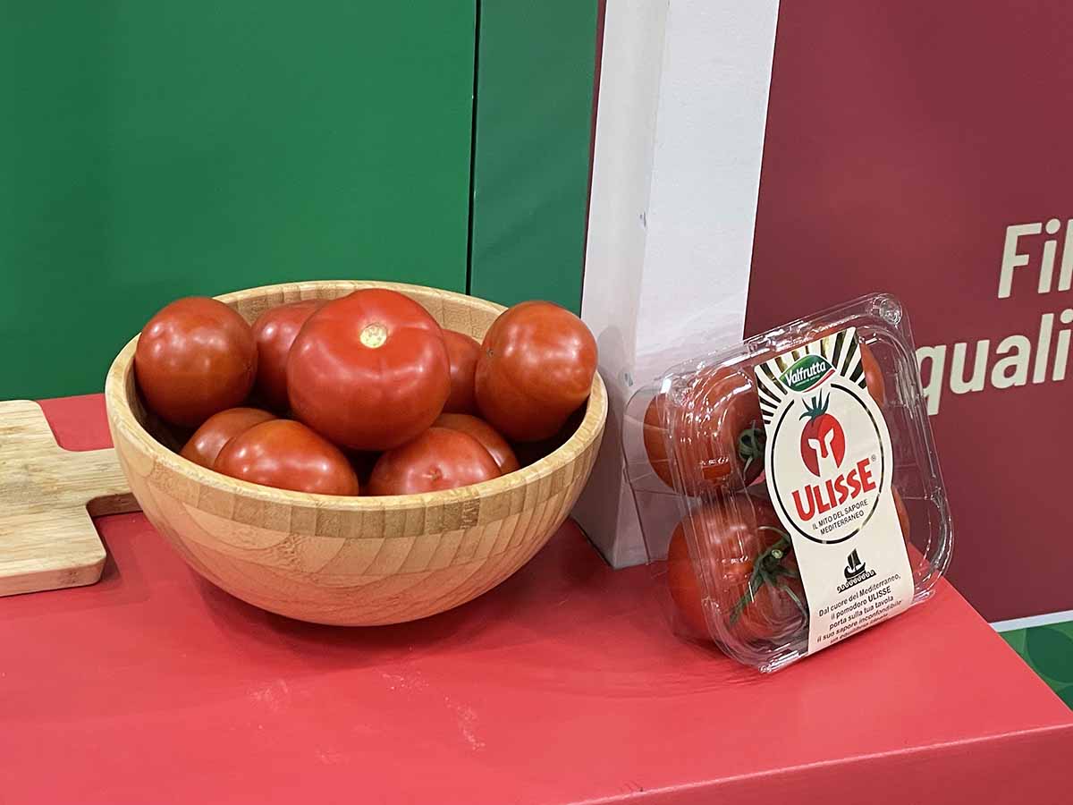 pomodoro Ulisse
