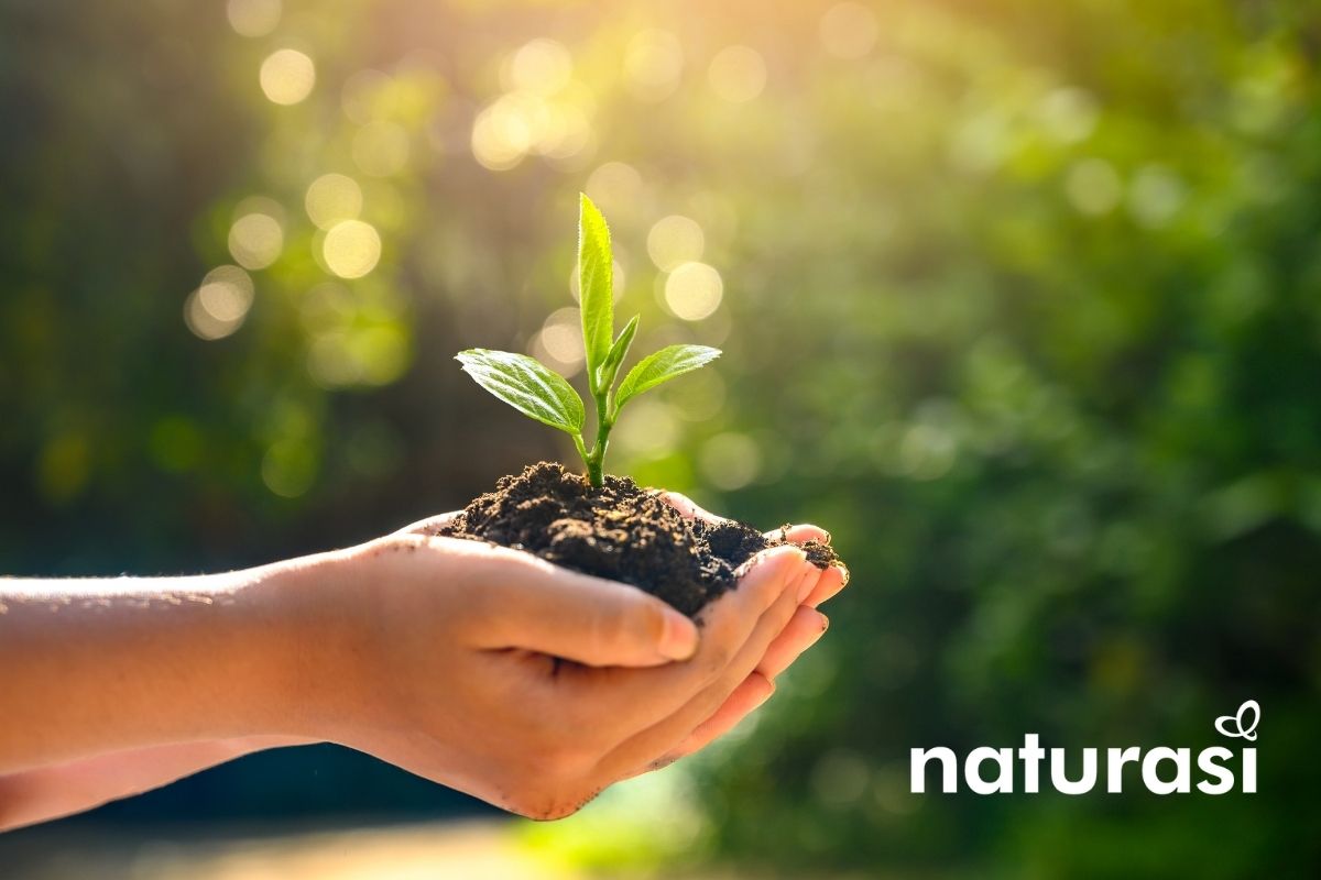 NaturaSì giusto prezzo