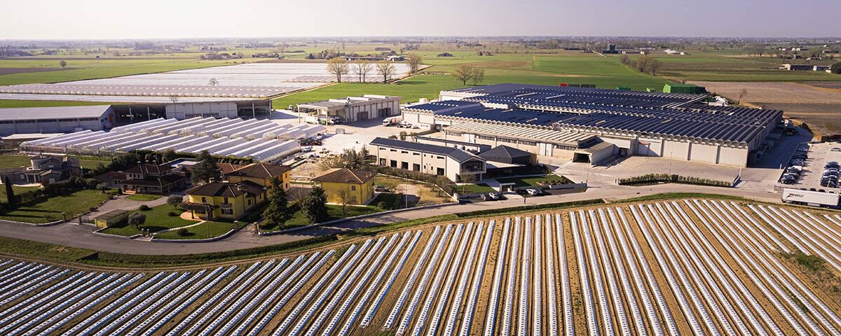 Francescon_nuova_sede_Rodigo_aerea_2026