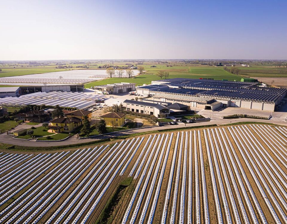 Francescon_nuova_sede_Rodigo_aerea_2026