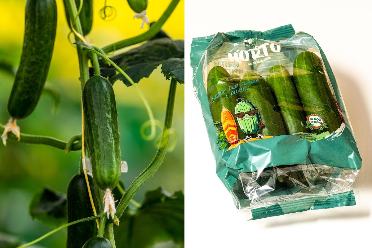 cetriolini snack H2Orto