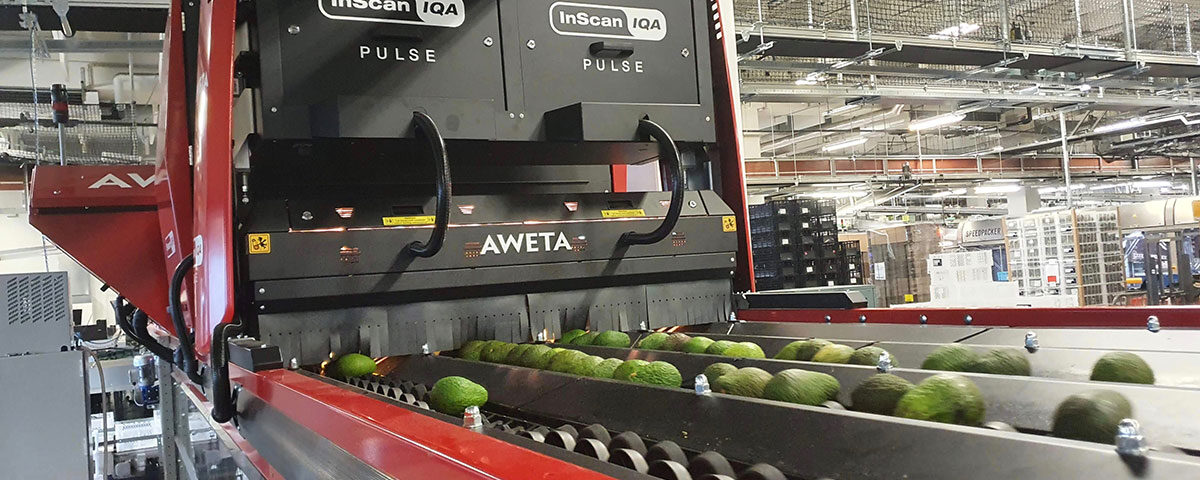 Aweta_Rollerstar_frutta_Macfrut_2026