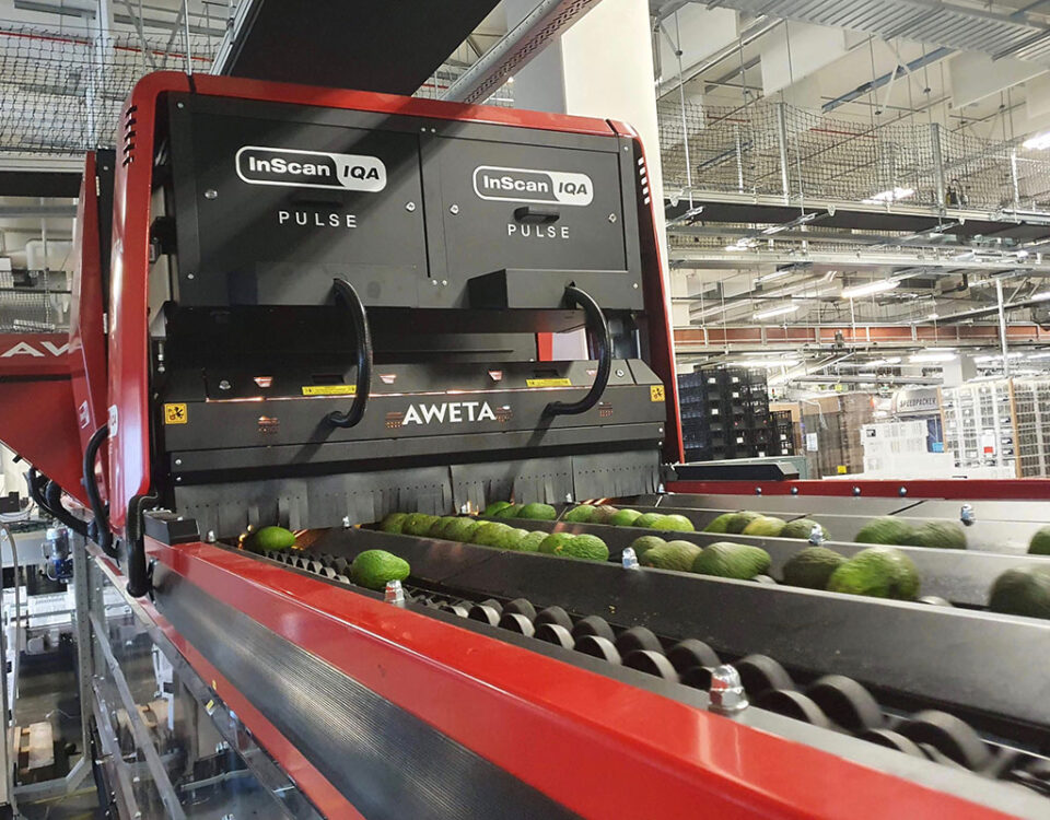 Aweta_Rollerstar_frutta_Macfrut_2026