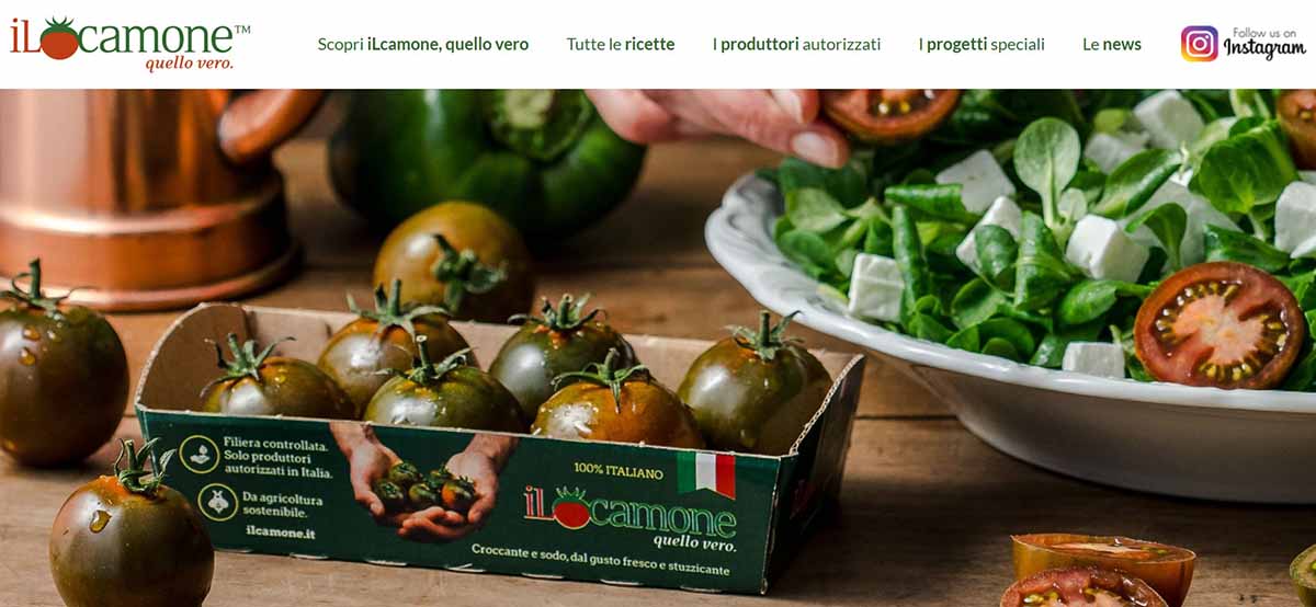 pomodoro iLcamone nuovo sito