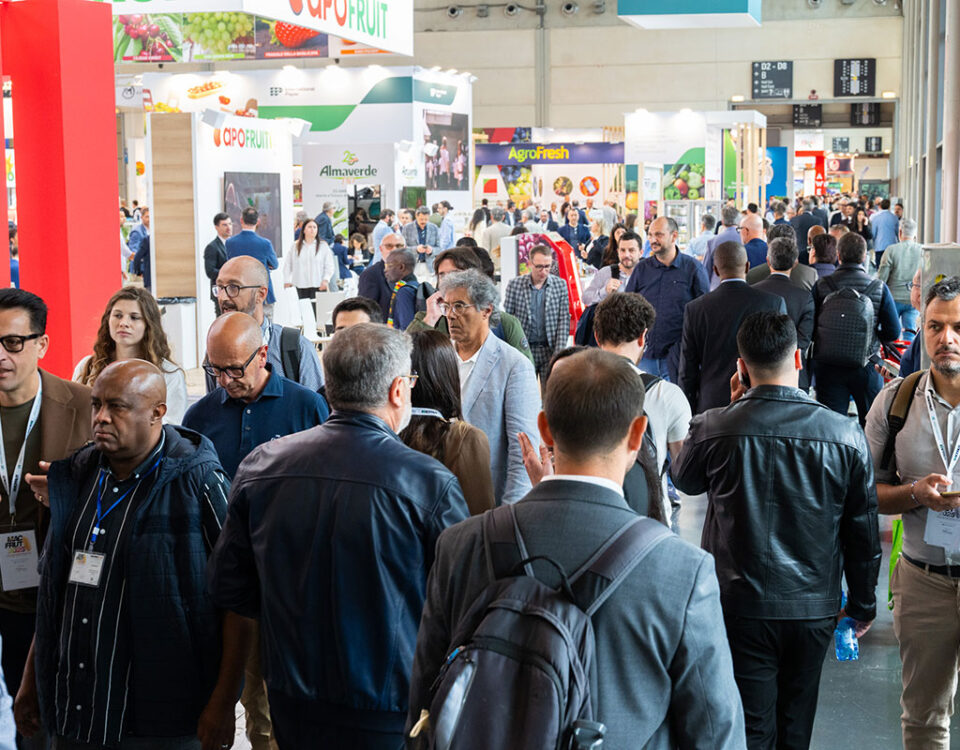 Macfrut-padiglioni-fiera