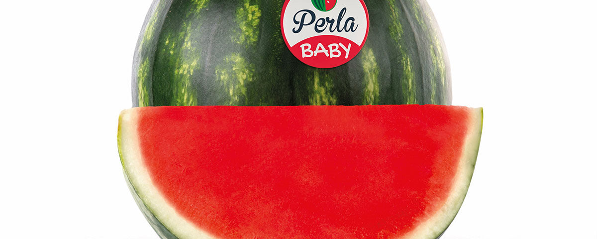 Perla-Baby-Anguria