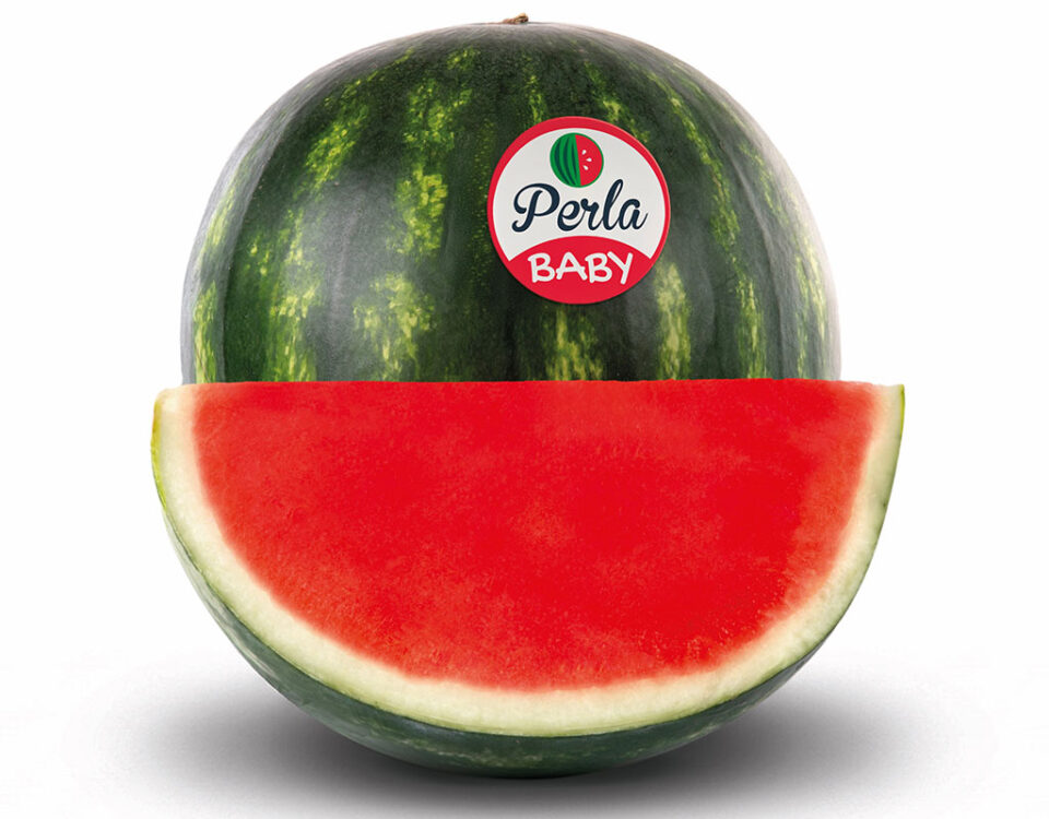 Perla-Baby-Anguria