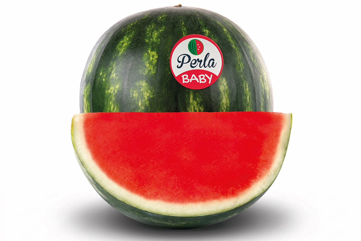 Perla-Baby-Anguria