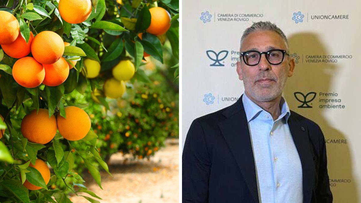 agrumi sostenibili All Citrus
