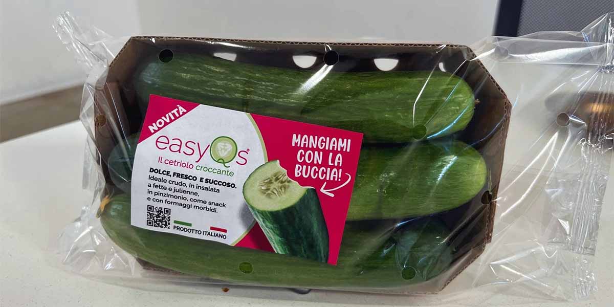 cetriolo snack Enza Zaden