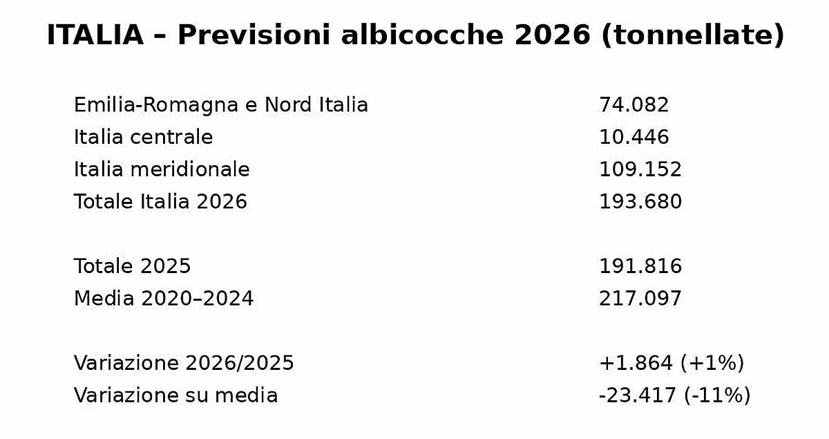 produzione albicocche 2026 Italia