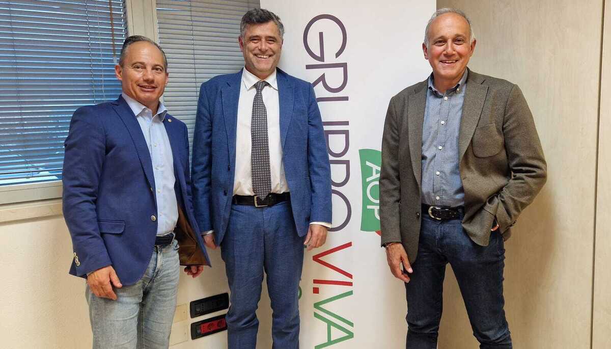 AOP Gruppo VI.VA
