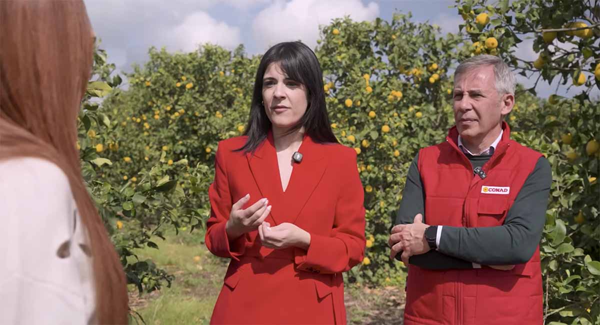 limoni Percorso Qualità Conad Focus