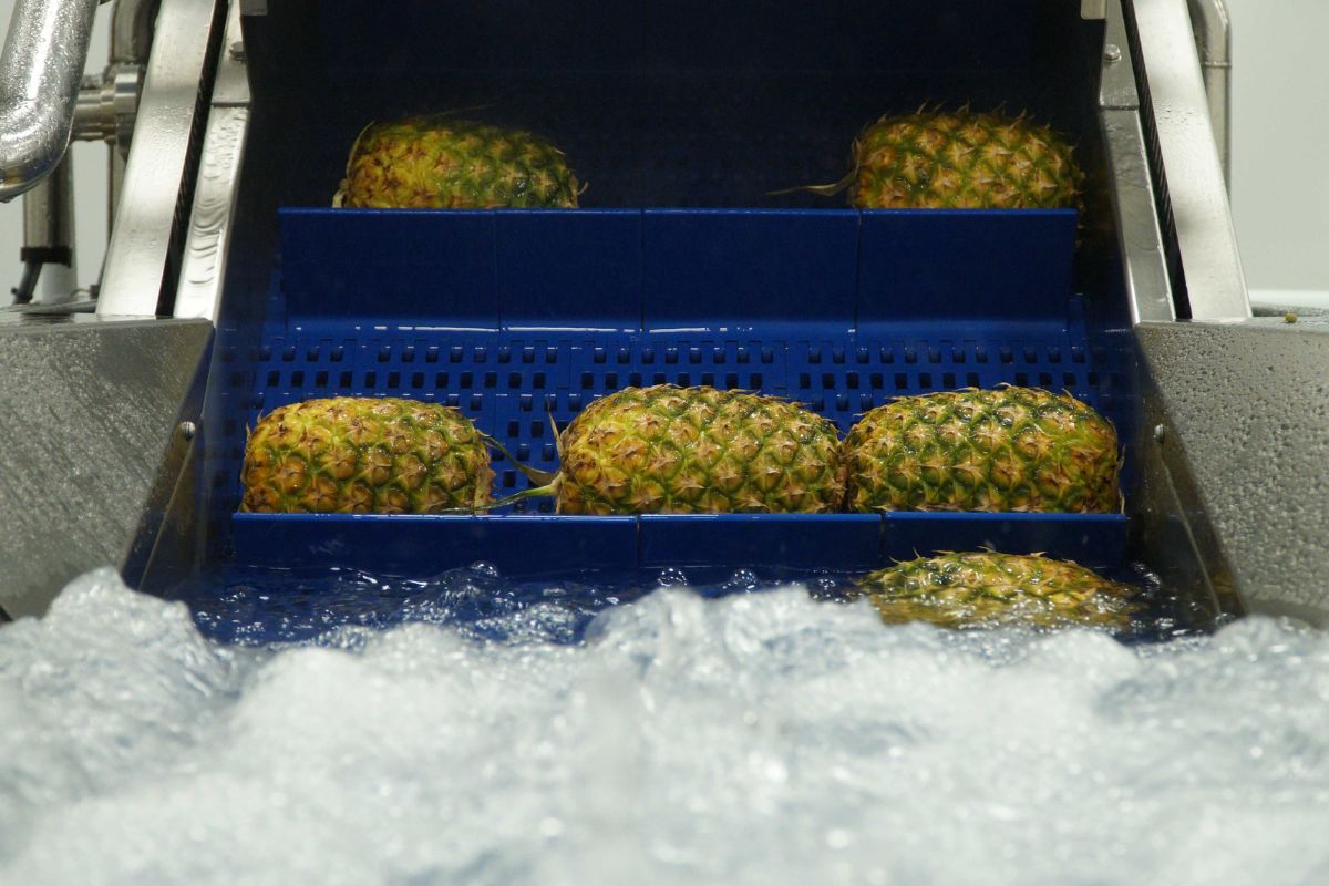 Orsero frutta pronta al consumo - stabilimento Verona