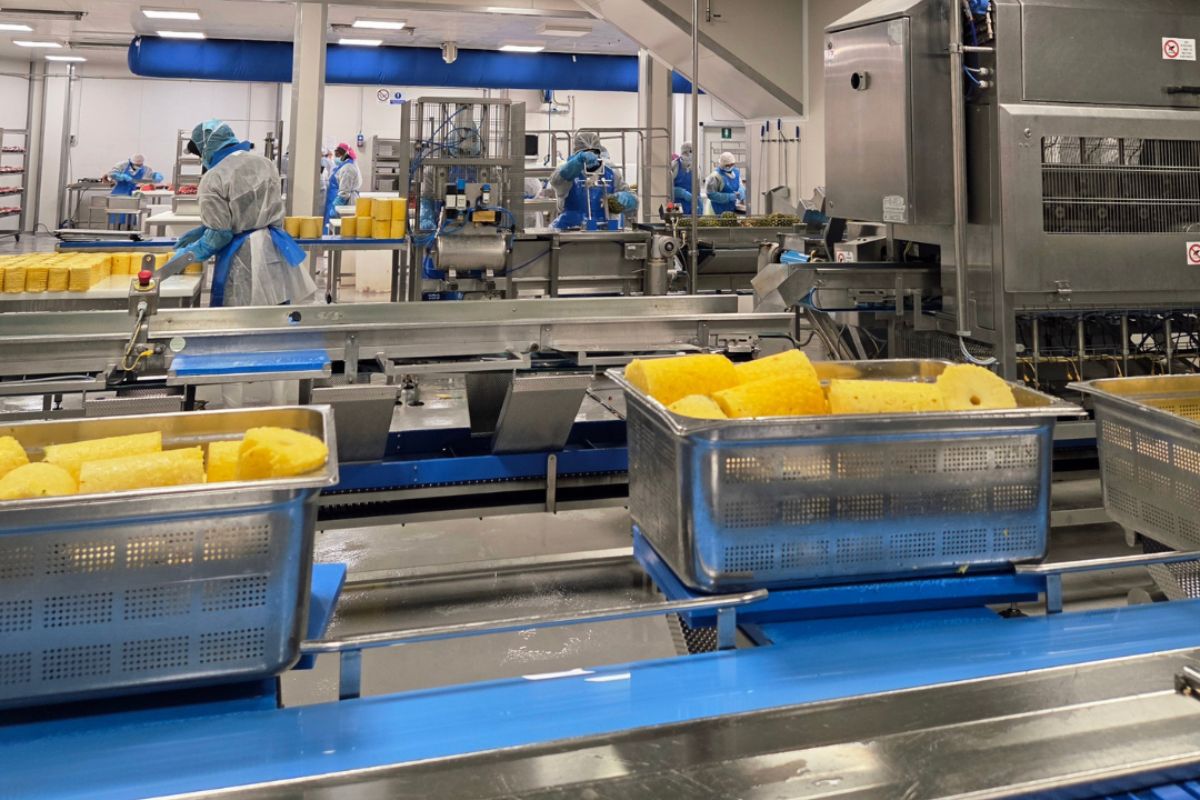 Orsero frutta pronta al consumo - stabilimento Verona