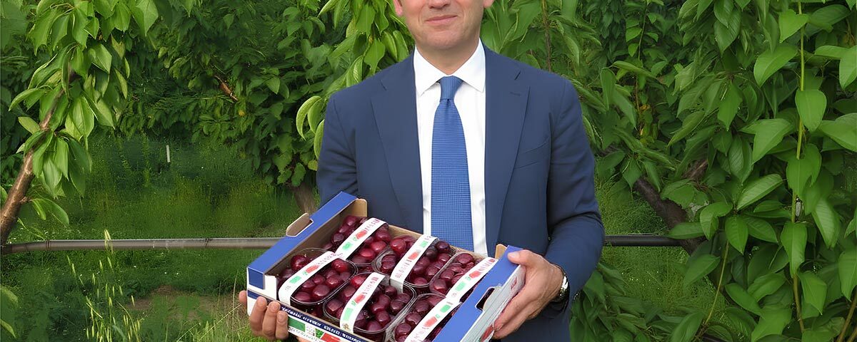 Andrea-Bernardi-Consorzio-Ciliegia-Vignola-IGP