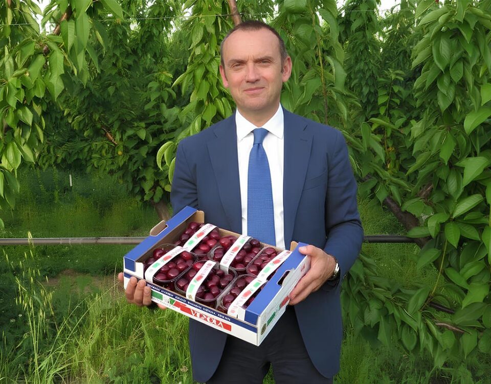 Andrea-Bernardi-Consorzio-Ciliegia-Vignola-IGP