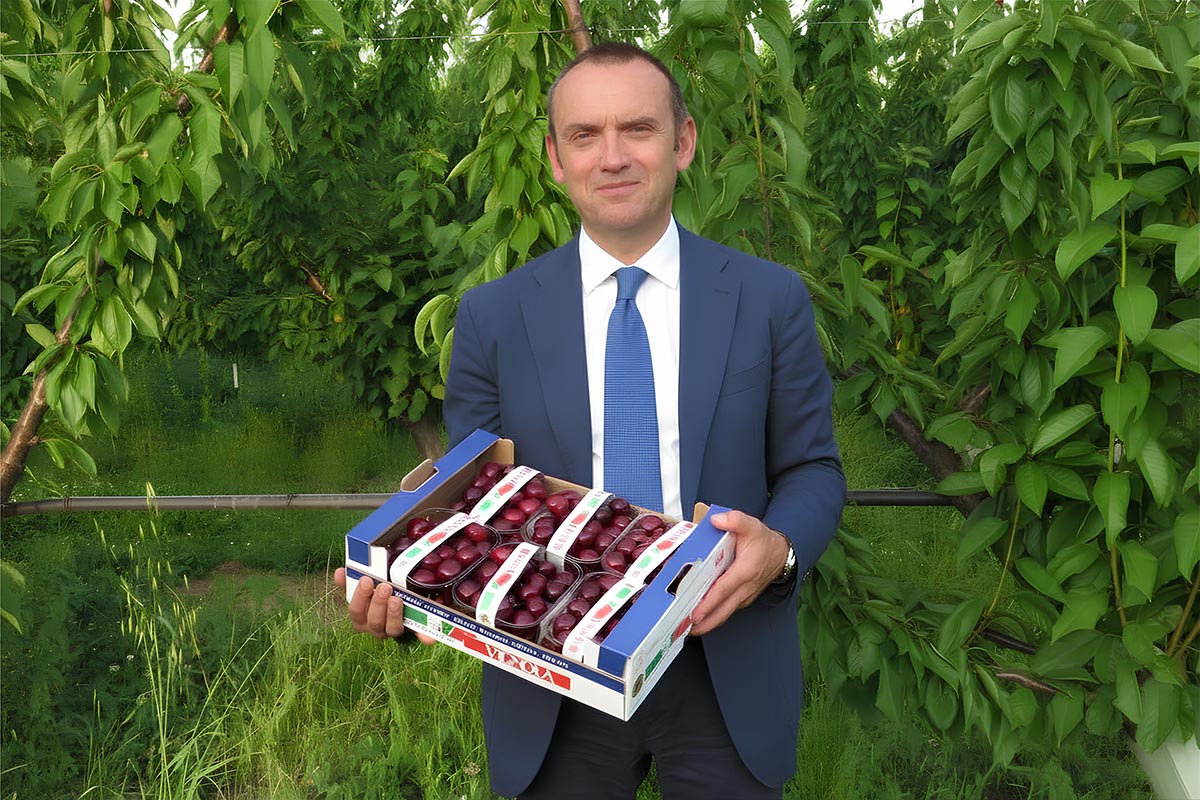 Andrea-Bernardi-Consorzio-Ciliegia-Vignola-IGP