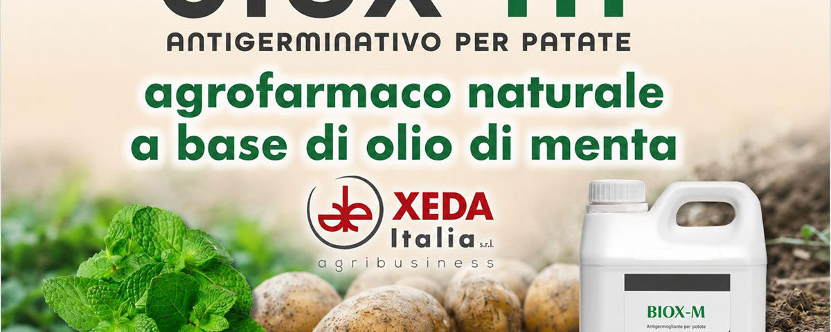 BIOX-M_Xeda_patate_antigermogliante_naturale_menta