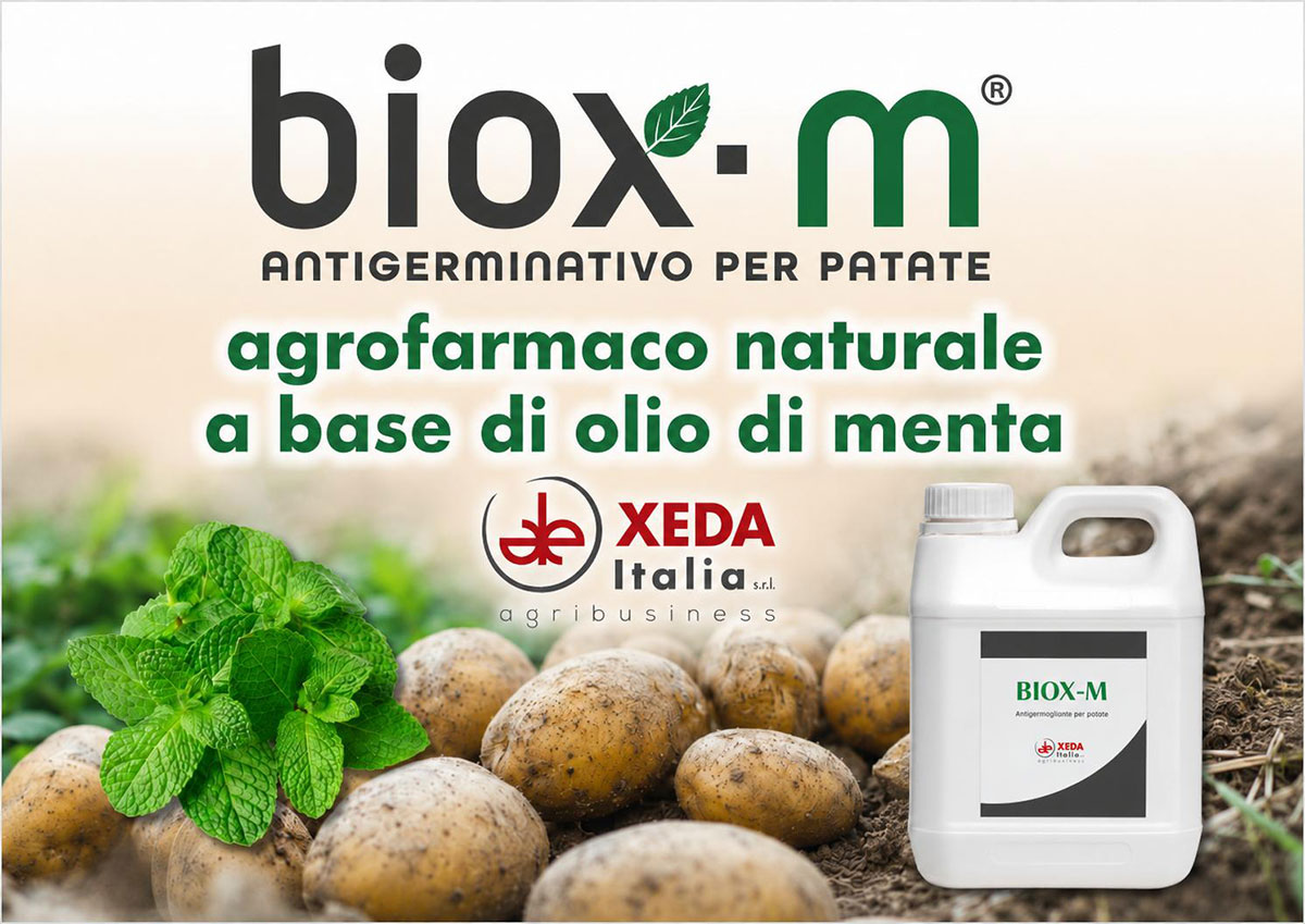 BIOX-M_Xeda_patate_antigermogliante_naturale_menta