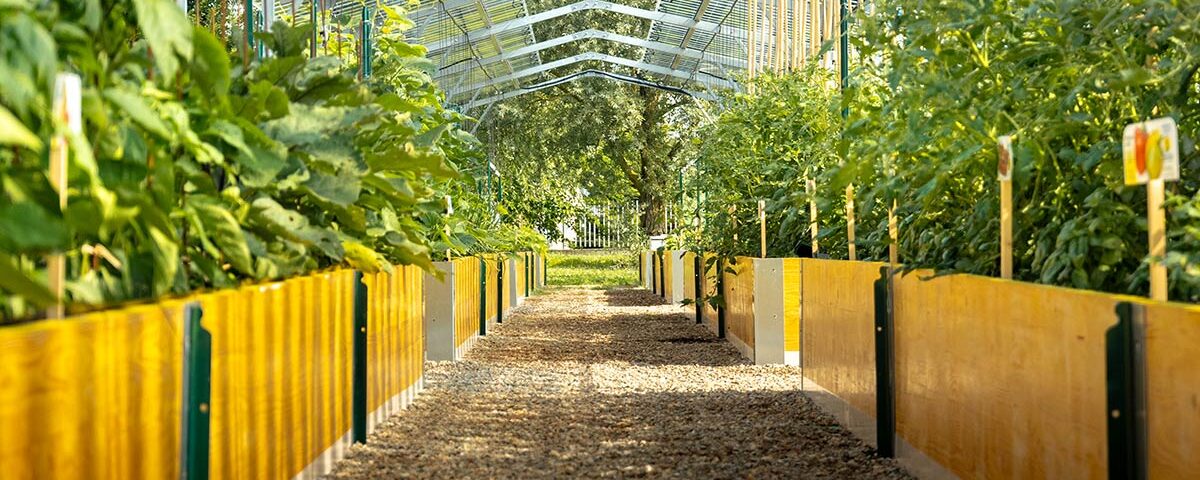 BioOrto_ElettroAttivo_agrivoltaico_06.2026