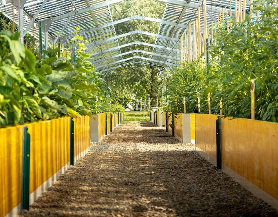 BioOrto_ElettroAttivo_agrivoltaico_06.2026