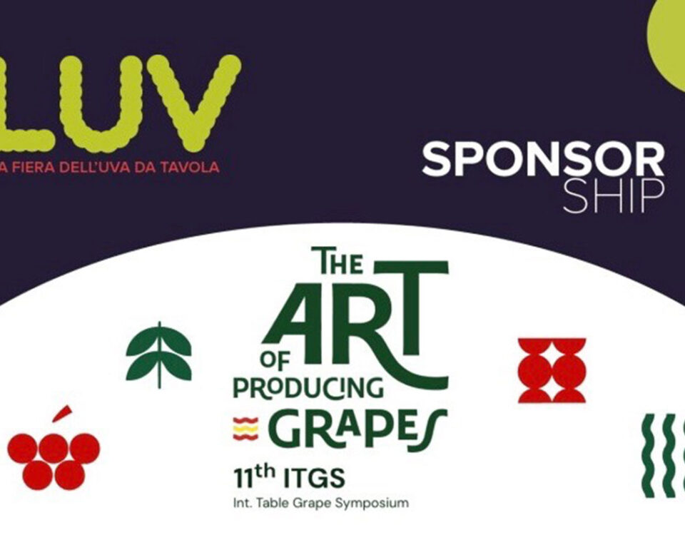 LUV-uva-da-tavola-ITGS-2026