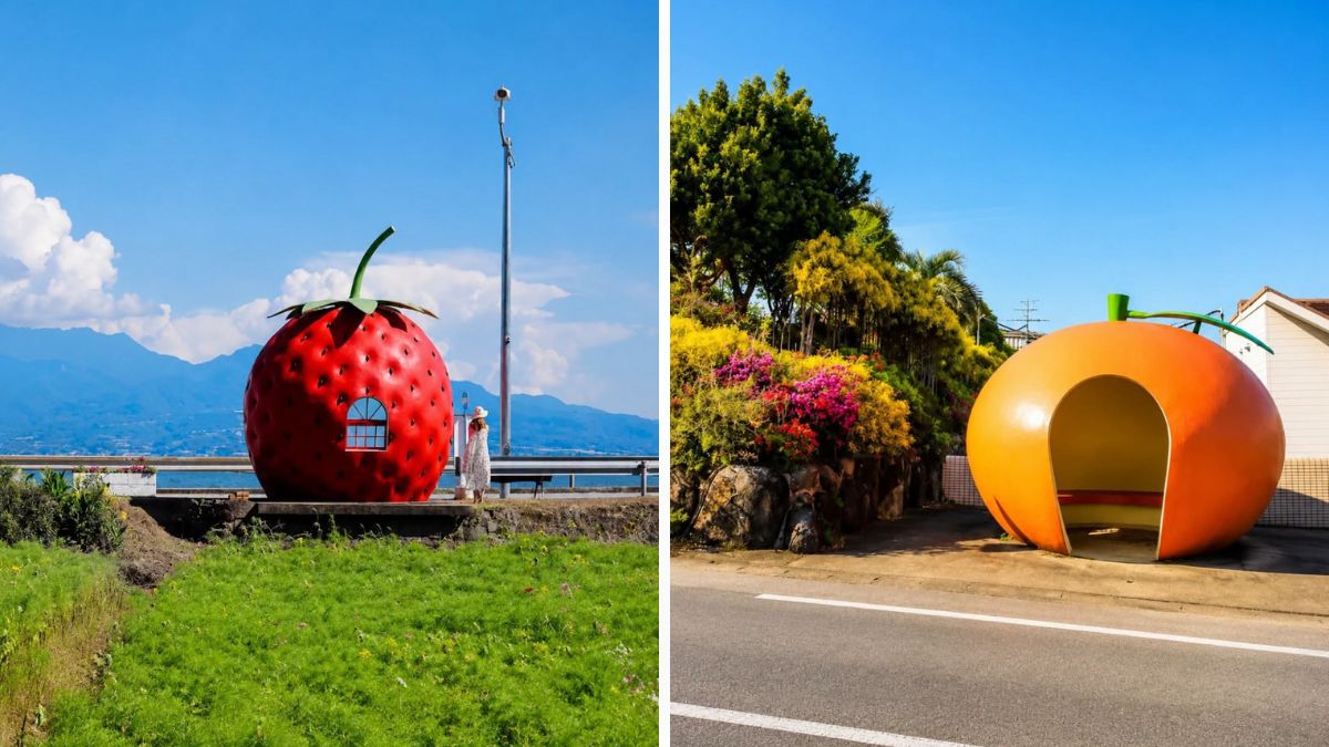 Fruit Bus Stops