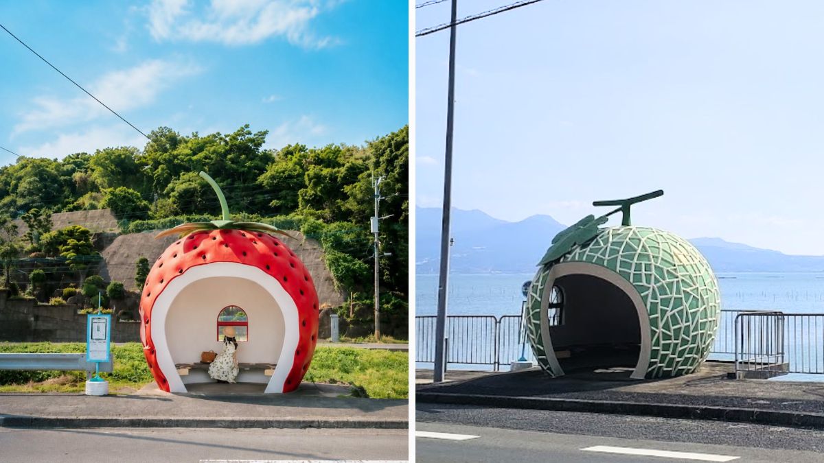 Fruit Bus Stops