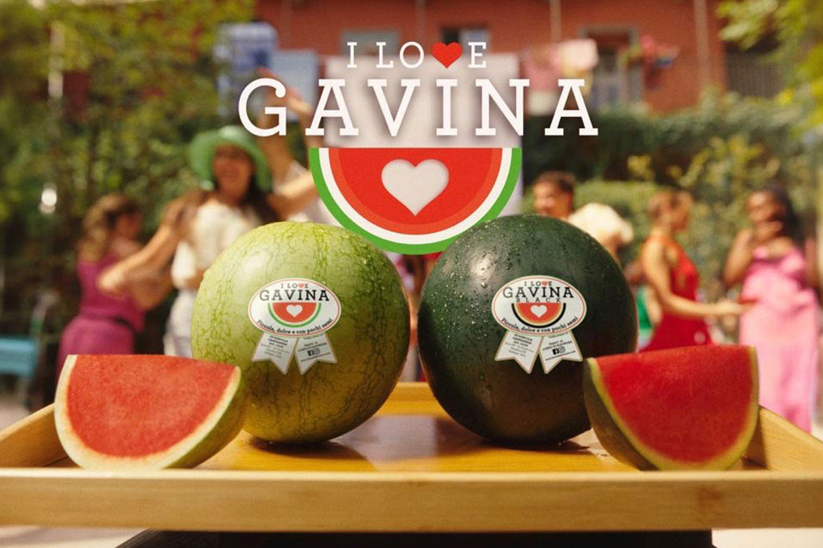 Gavina-anguria-Orto-Eleonora