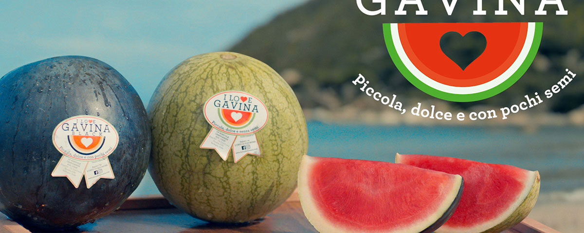 Gavina-anguria-spot-cartello-finale-tv-2'26