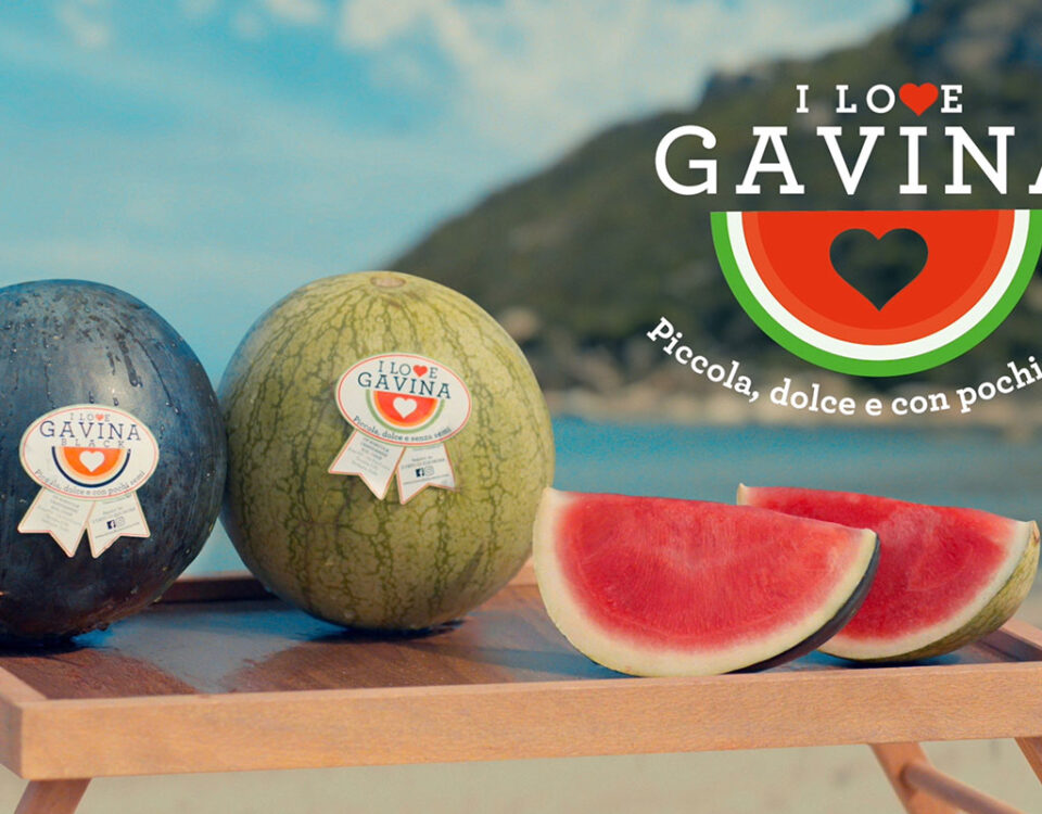 Gavina-anguria-spot-cartello-finale-tv-2'26