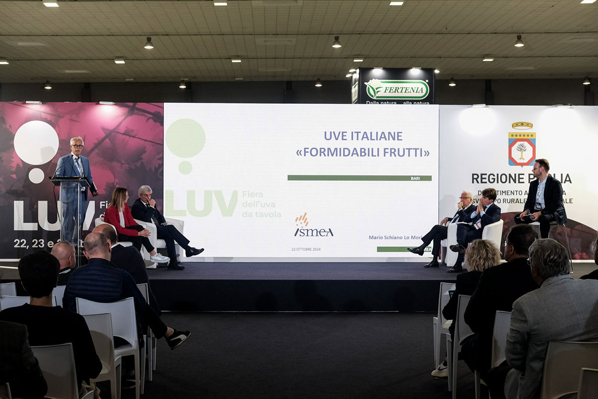 LUV_Fiera_uva_da_tavola_Bari_3
