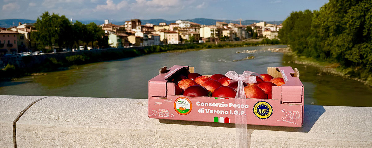 Pesca-Verona-IGP-Aperipesca-sul-Ponte-2026