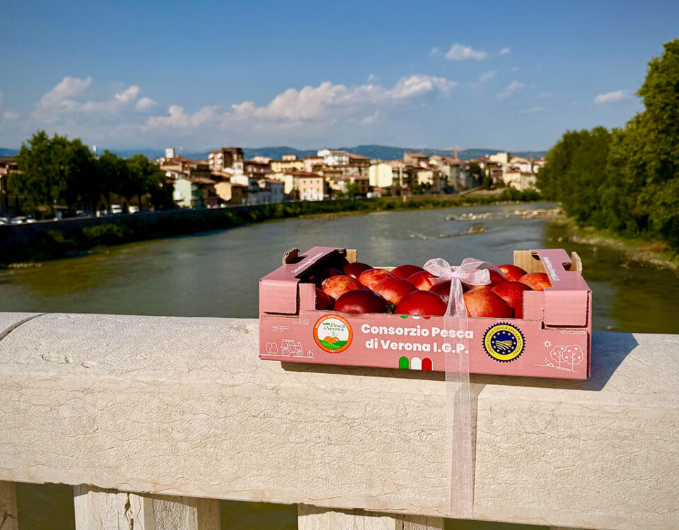 Pesca-Verona-IGP-Aperipesca-sul-Ponte-2026