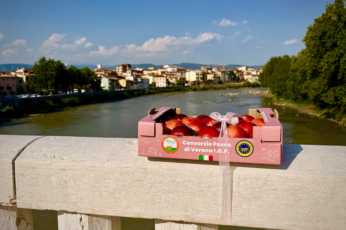 Pesca-Verona-IGP-Aperipesca-sul-Ponte-2026