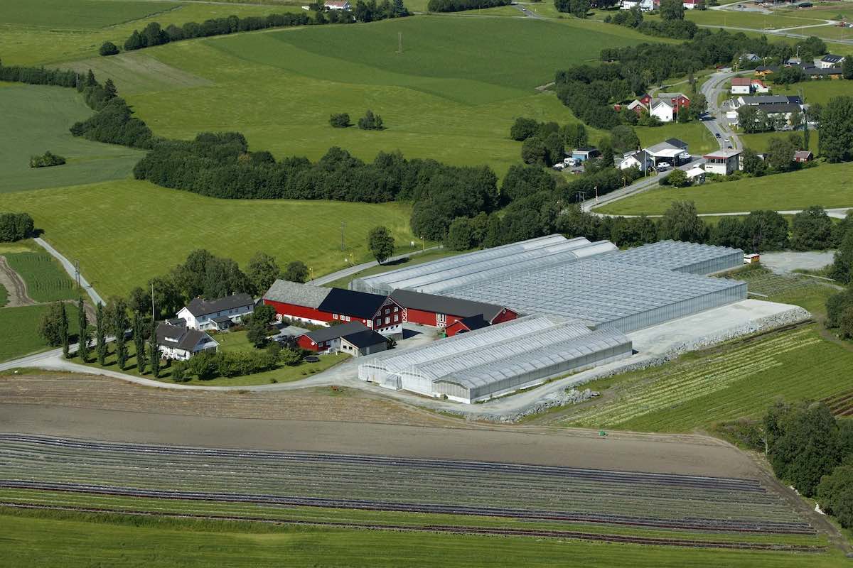 Viken Gartneri